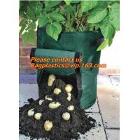 Buy cheap Horticulture, NURSERY, PLANTER, SEED, PLASTIC GROW BAGS, HYDROPONICS, FLOWERPOTS product