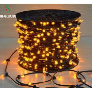 Buy cheap Christmas Tree Manufacturer IP65 LED String Lights 12V LED Clip Light for Australia from wholesalers