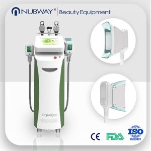 Buy cheap 5 cryolipolysis handles cryolipolysis fat freezing cool body sculpting machine from wholesalers