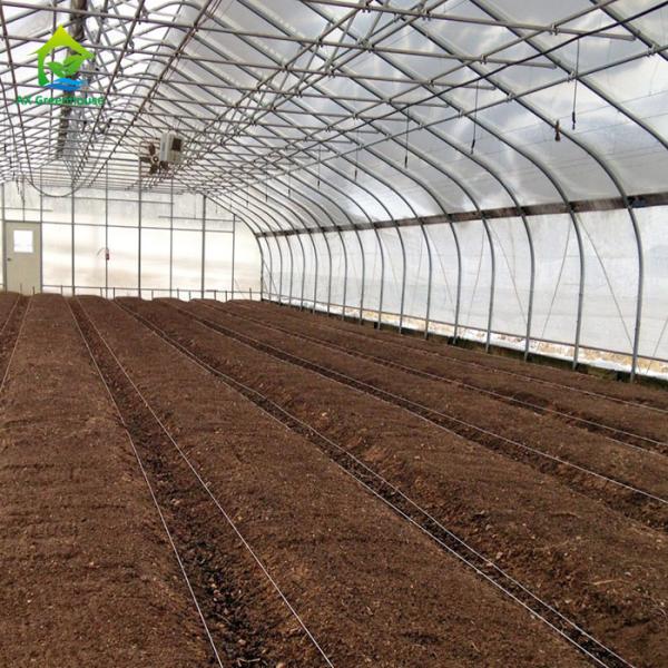 Quality Single-span Polytunnel Plastic Film Galvanized Steel Skeleton Agricultural Tomato Greenhouse for sale
