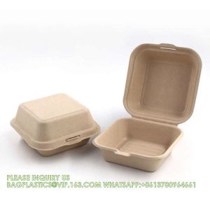 Sugarcane Pulp Clamshell Bagasse Takeout Bento Lunch Box Food Container For