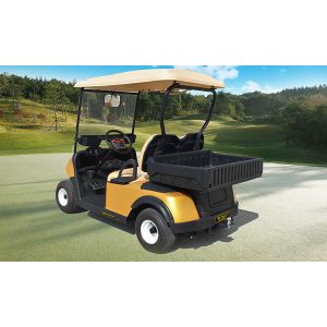 New Design 2 Seats Electric Utility Golf Cart With Rear Plastic Cargo Box
