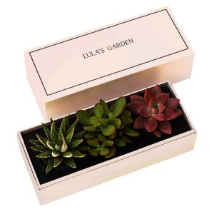 Buy cheap Custom Printed Succulent Planter Gift Box Succulent Packaging Box from wholesalers