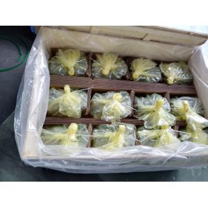 Buy cheap Rexroth A10VSO71 Hydraulic Pump 280 Bar Cast Iron Gear Pump from wholesalers