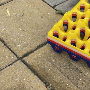 Buy cheap 30 Hole Eco Friendly Plastic Egg Cartons Bulk product