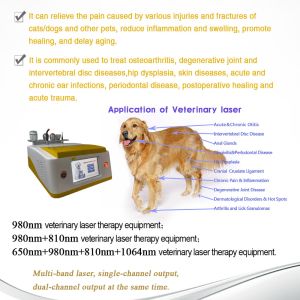 980Nm 15W Diode Laser Animal Veterinary Pet Laser Physiotherapy Instrument for