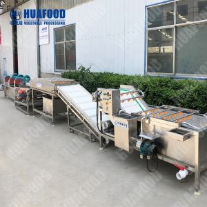 Buy cheap Hot selling Automatic Washing Vegetables Machine Bubble Washing Machine by Huafood from wholesalers