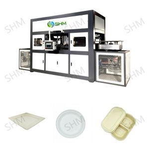 Buy cheap Latest Bagasse Paper Pulp Molding Tableware Machine Fully Automatic from wholesalers