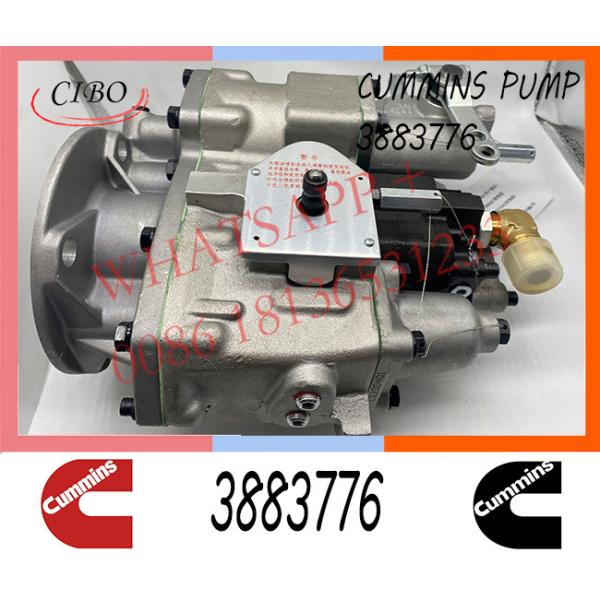 Quality Cummins  NT855 M11 Diesel Engine Fuel Injection Pump 3883776 4951390 for sale
