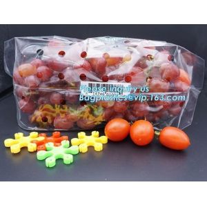 Buy cheap Vented Grape Pouch Bags, Vented Perforated Pepper Zipper Bags, Vented Apple Slider Bags, Air Hole Oranges Bags from wholesalers