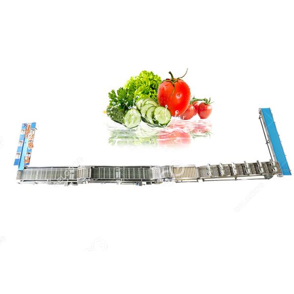 Automatic Fruit And Vegetable Washer Fruit And Vegetable Washing Processing