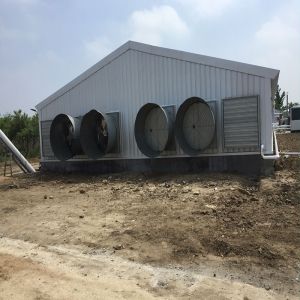 Poultry Farm Chicken House Light Prefabricated Steel Structure Building