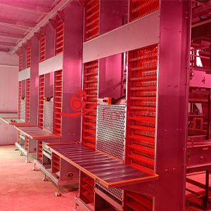 Buy cheap Industrial-Grade 6-Tier Layer Chicken Cage System Durability from wholesalers
