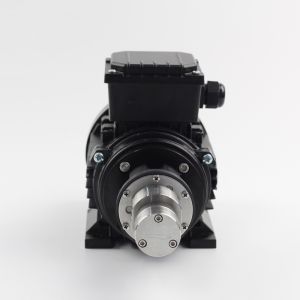 FLOWDRIFT Magnetic Drive Gear Pump KGP-06K 220V 380VAC Asynchronous Motor