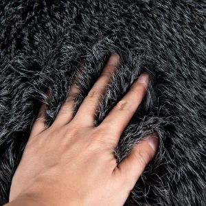Buy cheap 100% Arcylic Back Material Artificial Jacquard Long Fur Faux Fur Fabric for Garment from wholesalers
