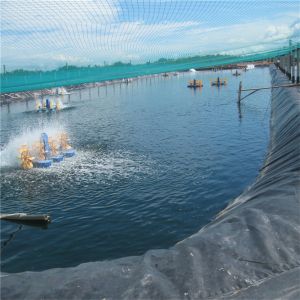 Buy cheap Green HDPE Liner Geomembranes for 0.3mm 0.5mm Plastic Fish Shrimp Pond Liner from wholesalers
