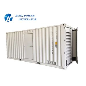 Container Cummins Diesel Generator , Commercial Diesel Generators 800kva