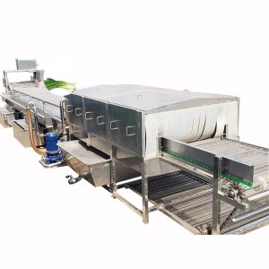 Buy cheap French Fries Tomato Roller Bubble Washing Machine Vegetable And Fruit from wholesalers