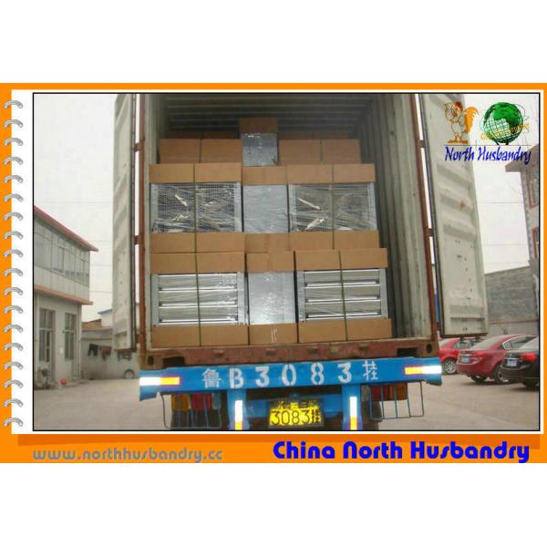 Quality Automatic Poultry Cooling Pad System for Chicekn and Broiler for sale