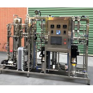 2m3/Hr Capacity EDI Purified Water System With Siemens S7 PLC