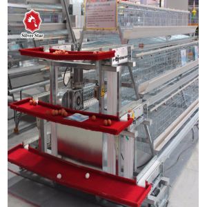 Customized Multi Layer Poultry Cage Automatic Egg Collection Cages