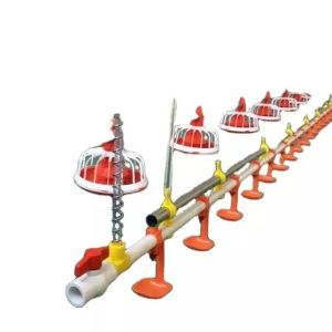 Buy cheap Galvanized Pipe Automatic Chicken Feeder System 3m Pipe length from wholesalers