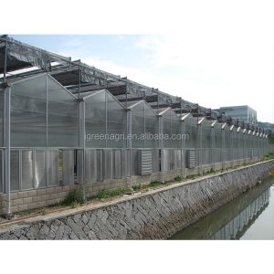 Buy cheap IGreen PC Board Greenhouse Multi-Span Agricultural Greenhouses with PC Sunshine Board Panels from wholesalers