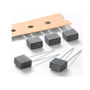 CCC CQC PSE PCB Radial Leaded Box Shaped Slow Blow Miniature Fuse MST 002 2A