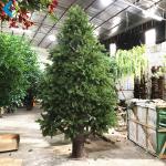 Buy cheap Courtyard Decoration Artificial Pine Trees , Evergreen Artificial Christmas Trees from wholesalers