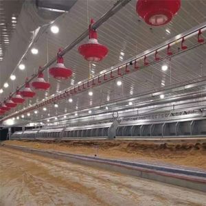 Buy cheap 90 Degree Chain Automatic Pan Feeding System from wholesalers