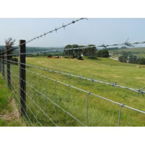 Buy cheap Hot sell high quality 14x14 16x14 galvanized barbed wire from wholesalers