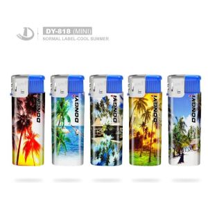 Buy cheap Refillable Electronic Lighters DY-818 MINI Customized Request from wholesalers