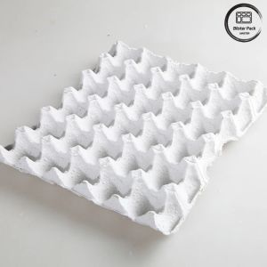 30 Hole Biodegradable Recycled Paper Egg Tray , Customizable Reusable Egg