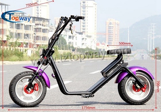 Quality 2018 New Style Two Wheel Off Road Electric Mobility Halley Scooter for sale