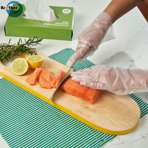 Quality Disposable Biodegradable Compostable Plastic Gloves Customized Color for Kitchen for sale