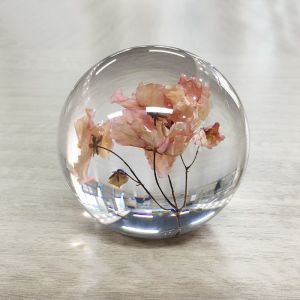 Buy cheap Home decoration craft acrylic paperweight with real flower inside dry flowers for resin art crystal paperweights from wholesalers