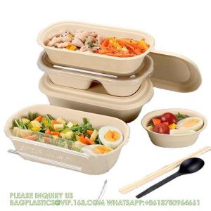 Wholesale Sugarcane Bagasse Pulp Lunch Box Takeaway Food Container Diaposiable