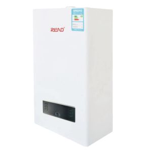 Energy-Saving Gas Combi Boilers for Home Heating And Bathing 20-42Kw