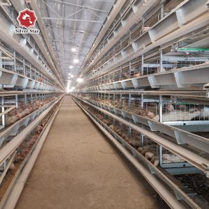Buy cheap 380/220V Layer Farming Cage , Q235 Chicken Laying Eggs Cage from wholesalers