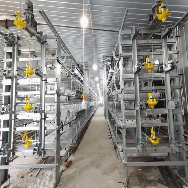 Quality H Type Meat Chicken4Rows 50000 Hen Layer Chicken Cage Battery System 240 Birds / Cage H Frame for sale