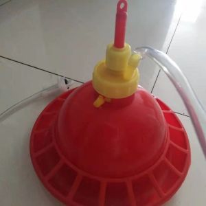 Buy cheap 38cm Plasson Automatic Broiler Drinker And Feeder For Poultry from wholesalers
