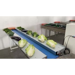 Buy cheap 600mm Fresh Vegetable Packaging Machine from wholesalers