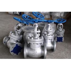 ANSI 150 LB 12'' Butt Weld Globe Valve Bonnet Gasket API598 Standard