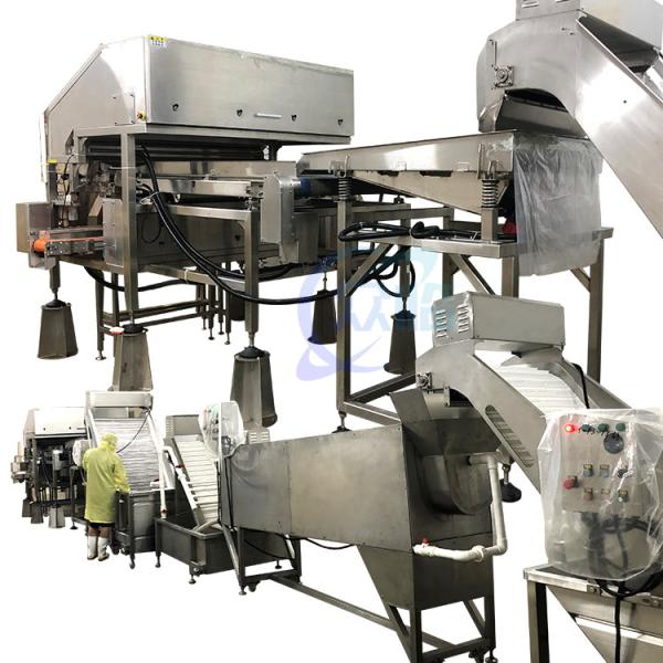Buy cheap Durable 800W Shrimp Processing Plant , Automatic Shrimp Head Removal System from wholesalers