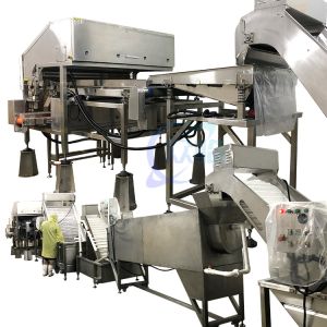 Buy cheap Durable 800W Shrimp Processing Plant , Automatic Shrimp Head Removal System from wholesalers