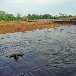 Industrial Design Style Hdpe Geomembrane Pond Liner with Waterproof Impermeable