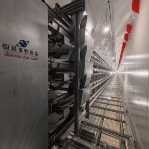Buy cheap Hot-Dip Galvanized Fully Automated 3-8 Tier Layer Cage with Automatic Egg Collection System from wholesalers