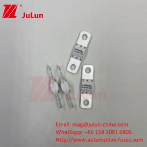 Buy cheap 125VDC 300A ASTM Electric Vehicle Fast Charging  / Ev Dc Fast Charger Fuse With Bolt Screw Protection from wholesalers