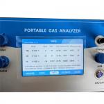 Buy cheap ESEGAS Handheld Biogas Analyzer , Portable CO2 Gas Analyzer Instrument from wholesalers