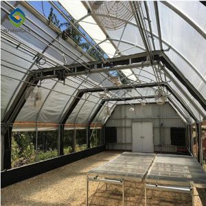 30m Light Dep Mushroom Automated Blackout Greenhouse